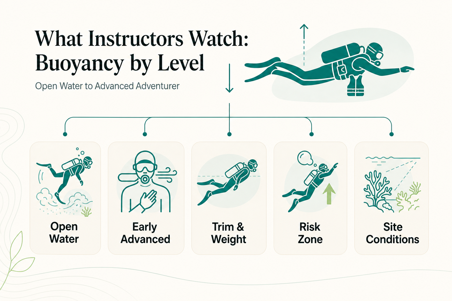 Drijfvermogen naar ervaringsniveau: wat instructeurs werkelijk in de gaten houden bij beginduiken - infographic