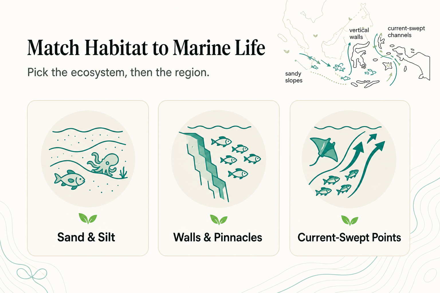 Macro, Walls, or Pelagics? Matching Indonesia's Coral Triangle Regions to the Marine Life You Want to See - infographic