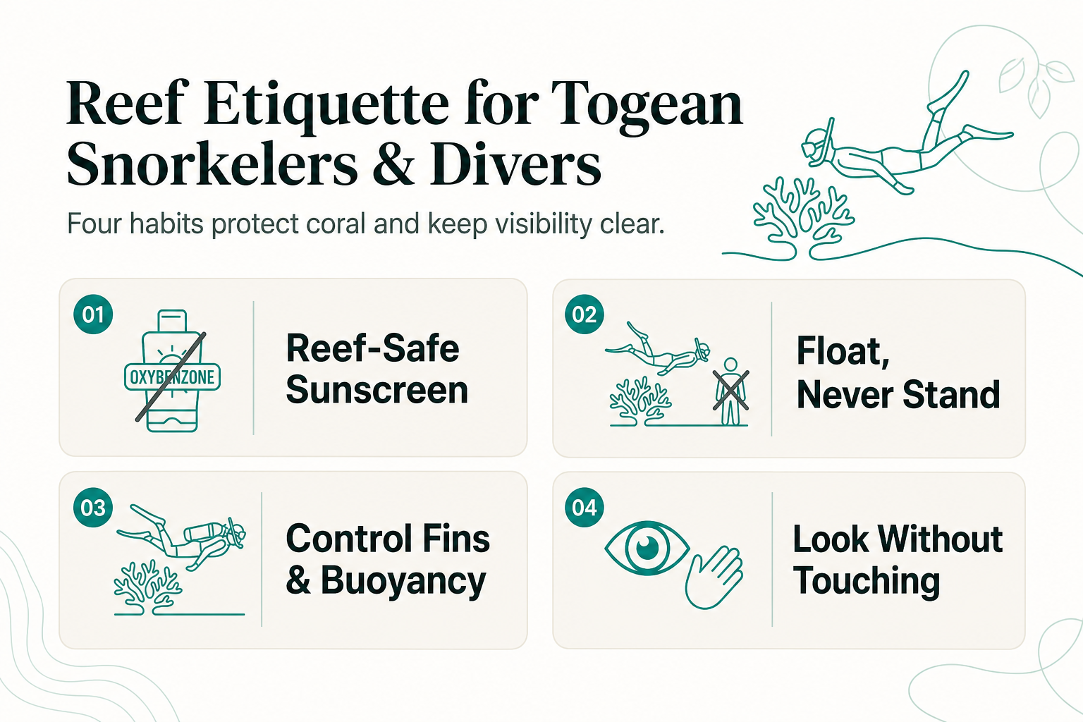 Reef Etiquette for Snorkelers and Divers in the Togean Islands: How Guests Can Protect Coral Without Missing a Moment of the Trip - infographic