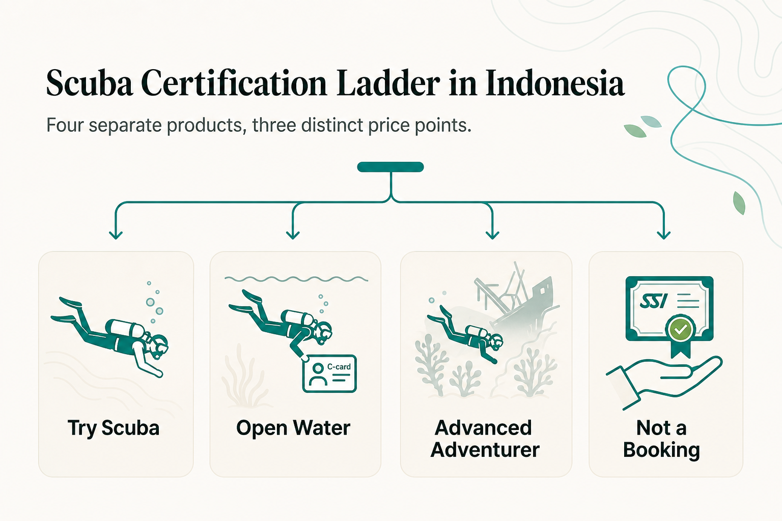Wat Discover Scuba Diving, Open Water en Advanced Adventurer Werkelijk Apart Kosten in Indonesië - infographic